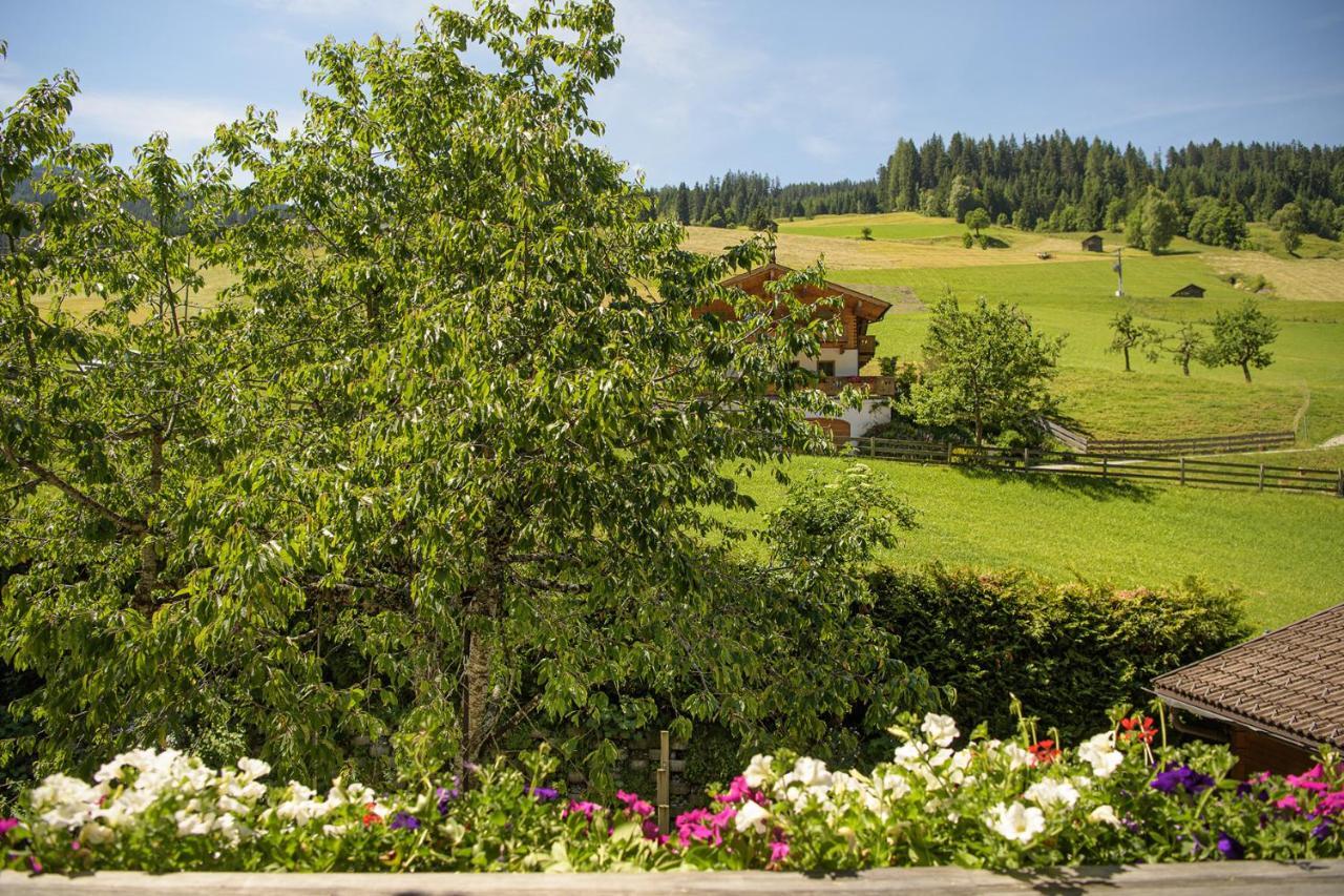 Alpen-Nest Grossarl Apartment Luaran gambar