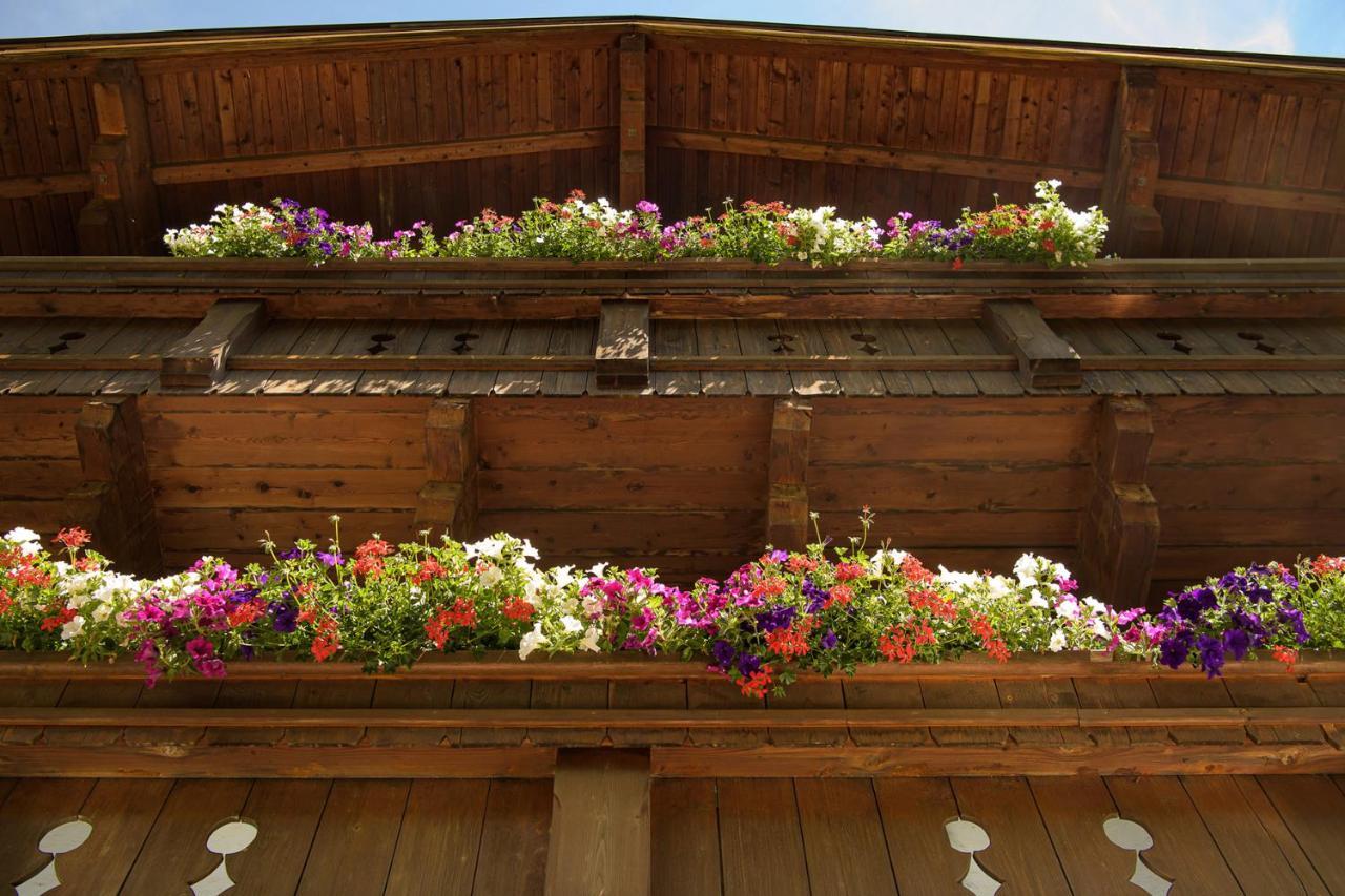 Alpen-Nest Grossarl Apartment Luaran gambar